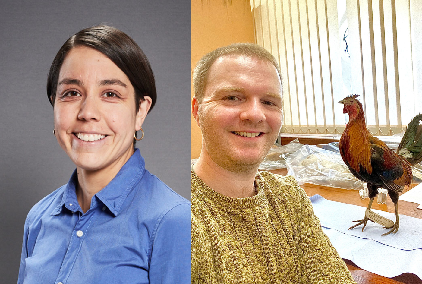 Two images together: On the left Georgina Limon-Vega's headshot; on the right Steve Fiddaman sat next to a rooster model