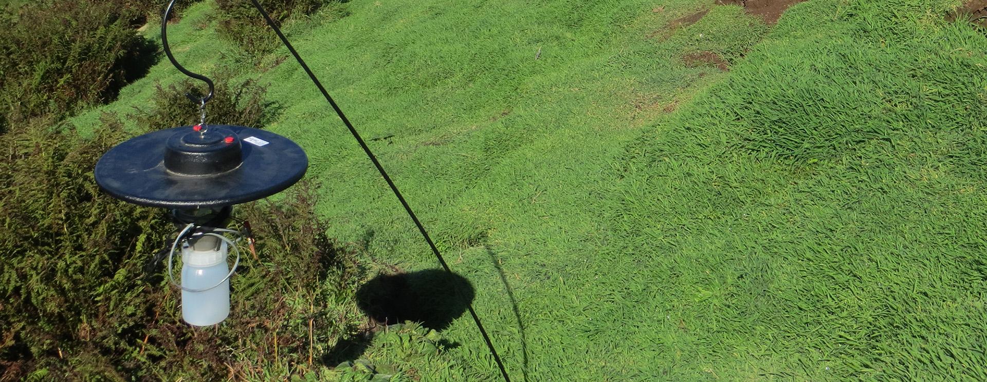 Green hill that rolls down to the sea. A midge trap on a thin metal rod is in the foreground