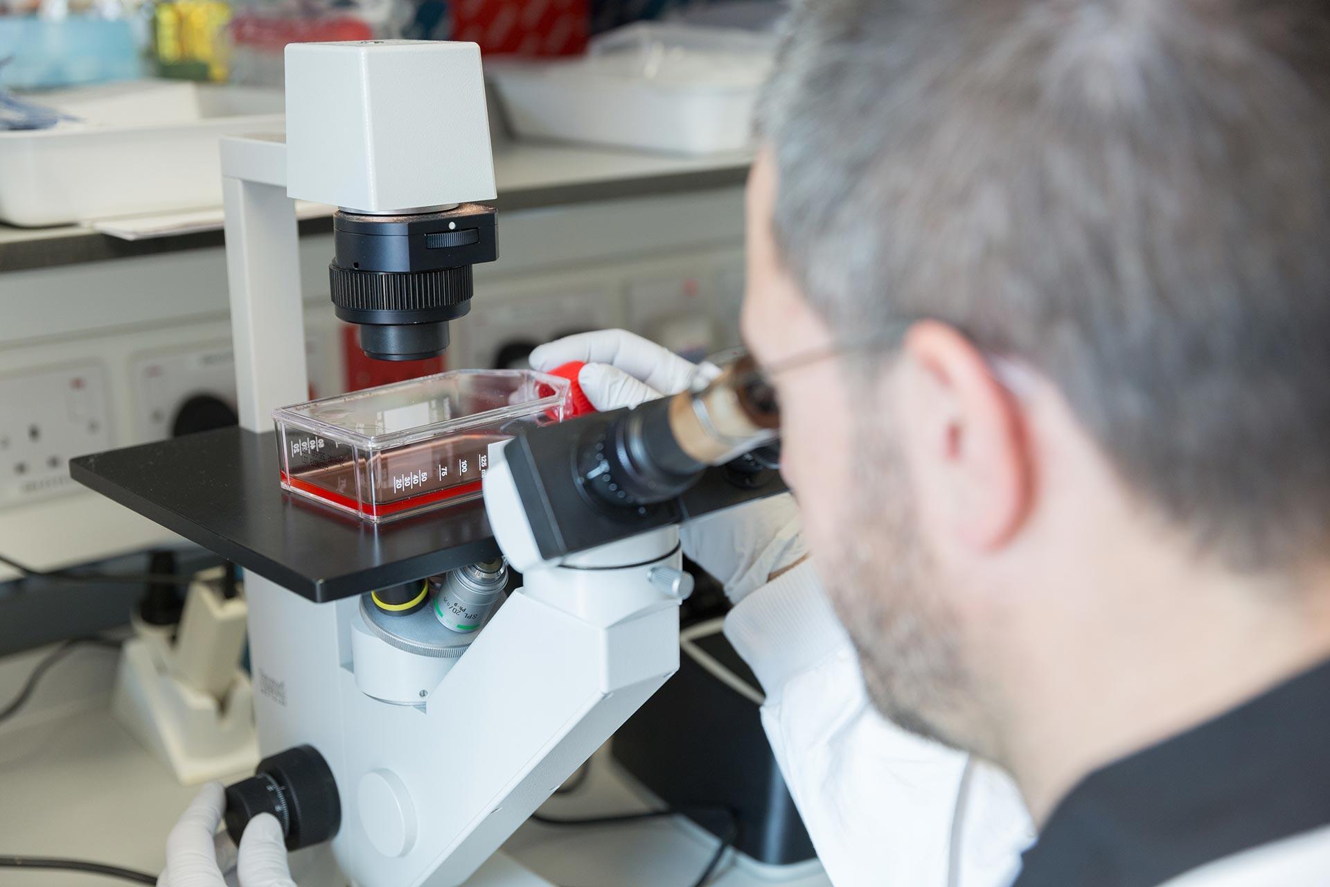 Male scientist looking through microscope